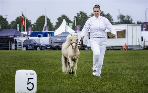 Horsens dyrskue 2024